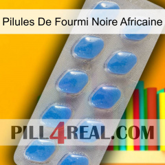 African Black Ant Pills 22